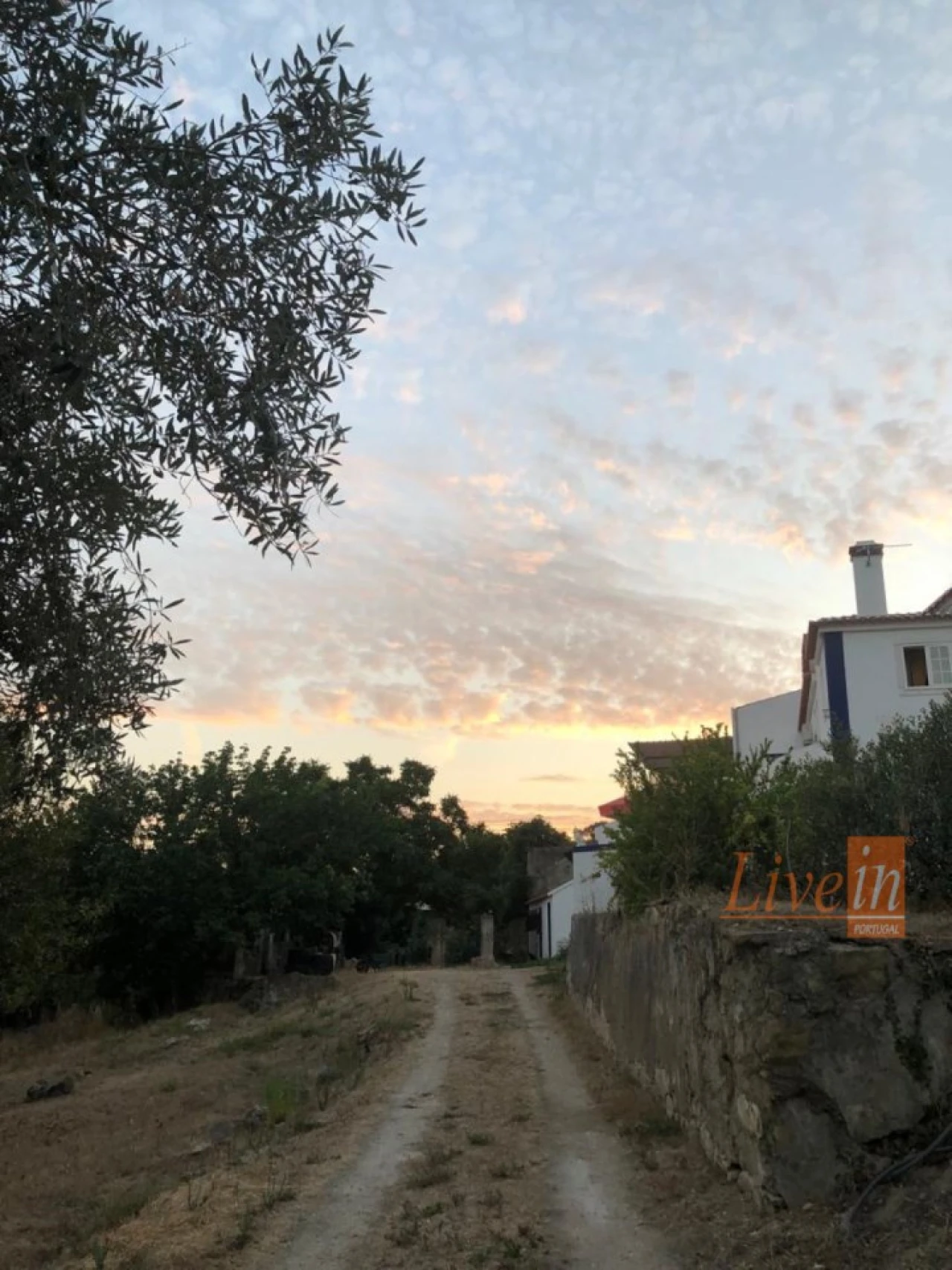 Moradia T4 para Venda em Ribafria e Pereiro de Palhacana Foto 15