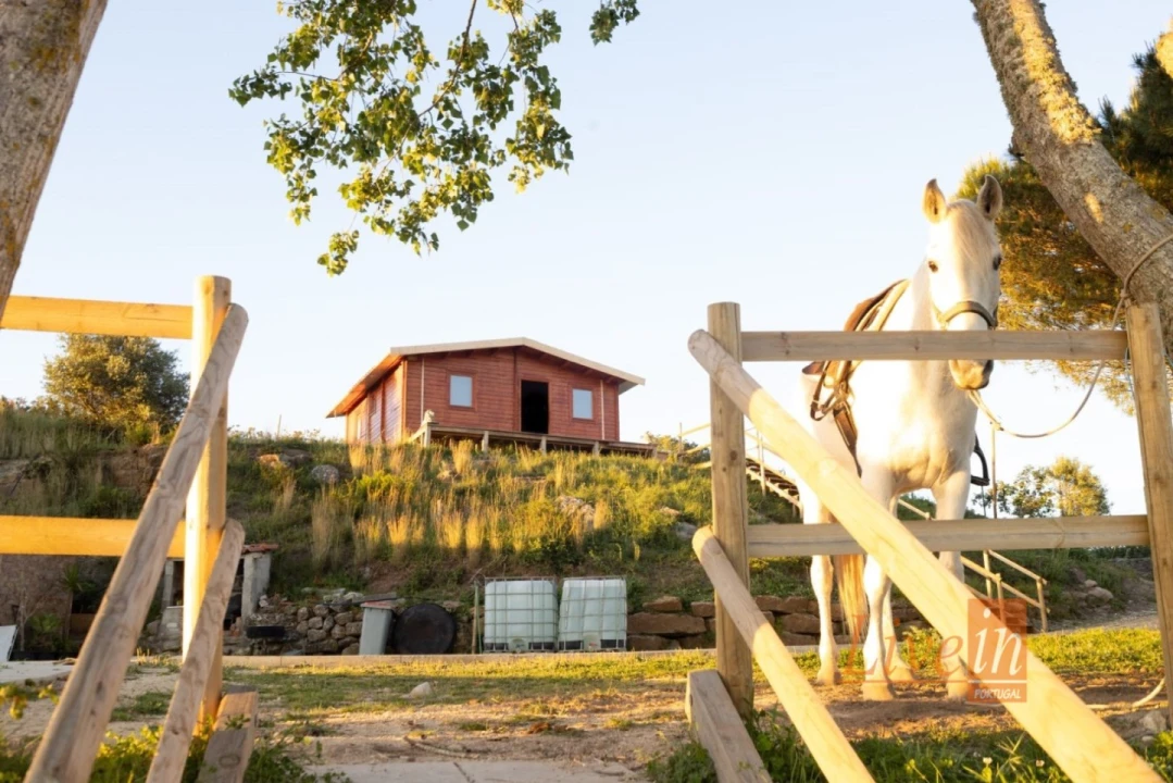 Terreno para Venda em Enxara do Bispo, Gradil e Vila Franca do Rosário Foto 3