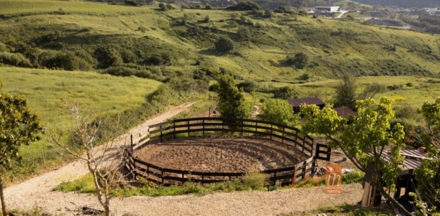 Terreno para Venda em Enxara do Bispo, Gradil e Vila Franca do Rosário Foto 12