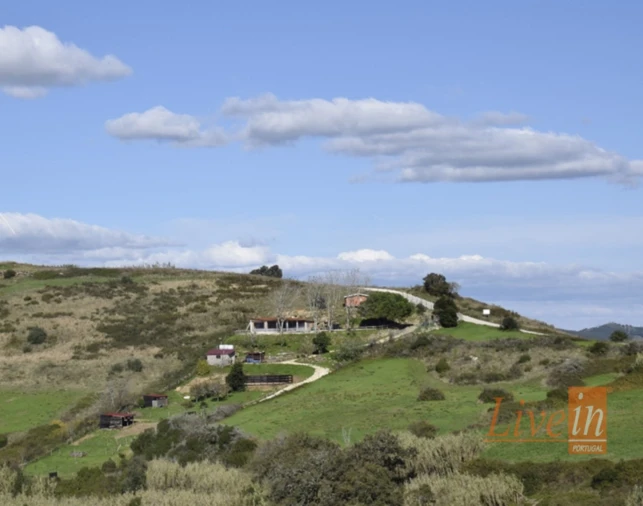 Terreno para Venda em Enxara do Bispo, Gradil e Vila Franca do Rosário Foto 2