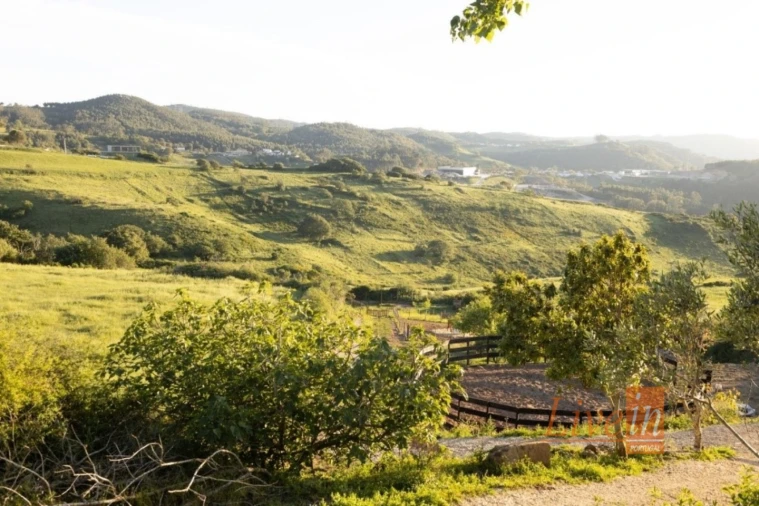 Terreno para Venda em Enxara do Bispo, Gradil e Vila Franca do Rosário Foto 8