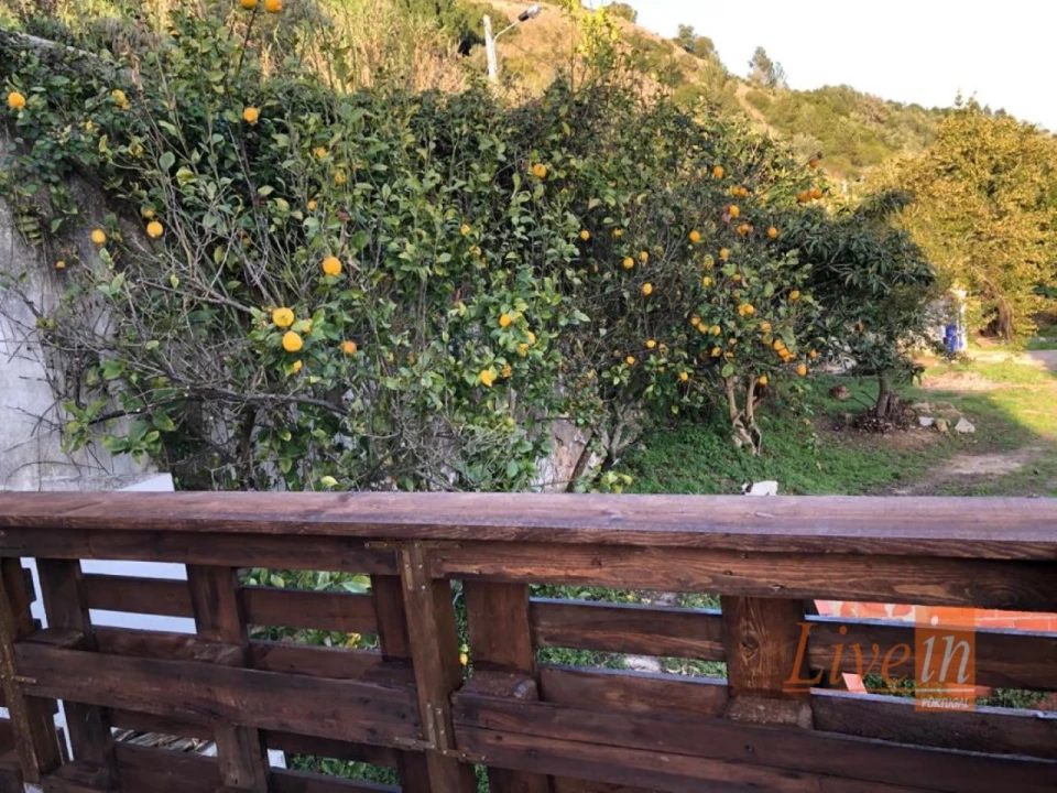 Quinta T4 para Venda em Ribafria e Pereiro de Palhacana Foto 10