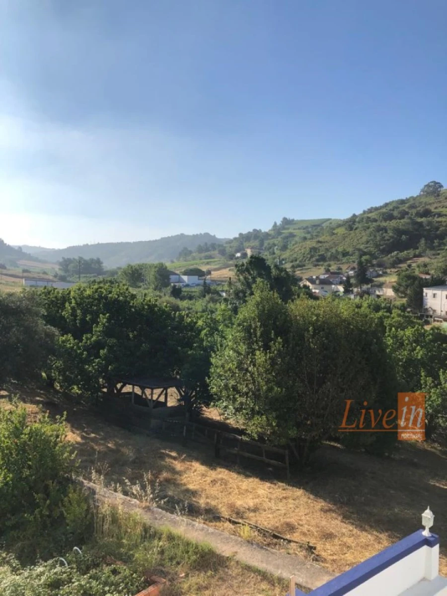 Quinta T4 para Venda em Ribafria e Pereiro de Palhacana Foto 4