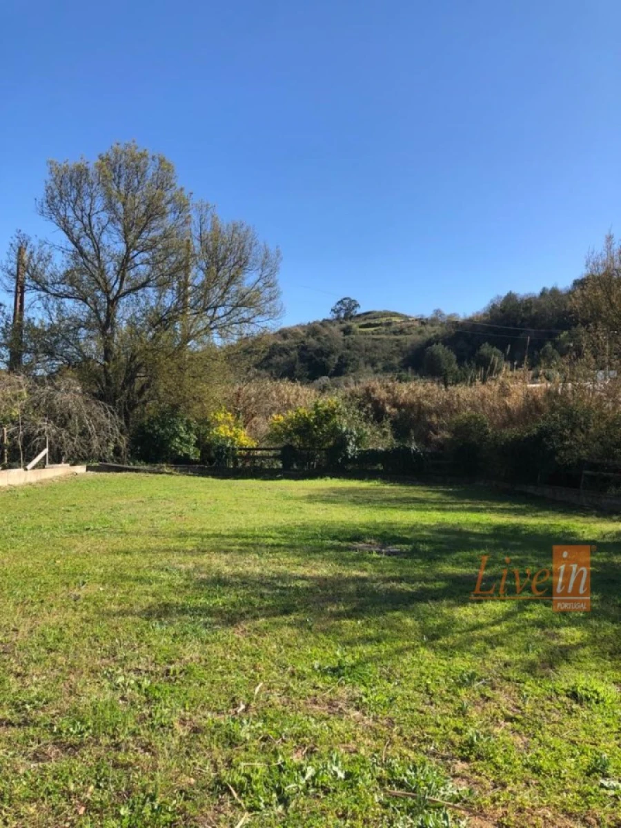 Quinta T4 para Venda em Ribafria e Pereiro de Palhacana Foto 14