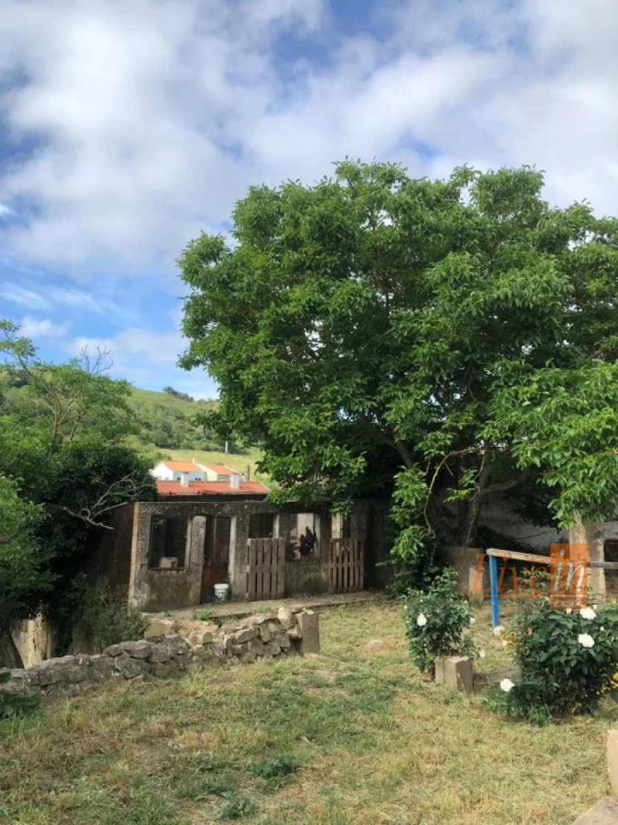 Quinta T4 para Venda em Ribafria e Pereiro de Palhacana Foto 16