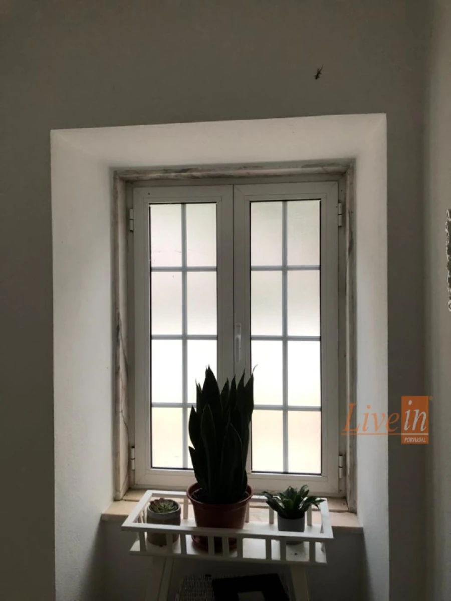 Quinta T4 para Venda em Ribafria e Pereiro de Palhacana Foto 29