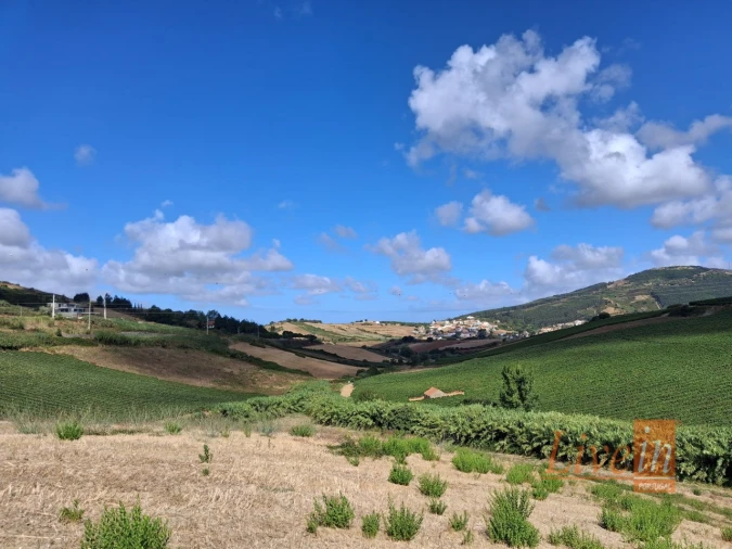 Moradia T1 para Venda em Enxara do Bispo, Gradil e Vila Franca do Rosário Foto 2