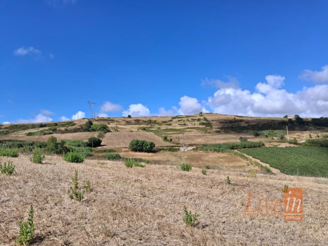 Moradia T1 para Venda em Enxara do Bispo, Gradil e Vila Franca do Rosário Foto 4