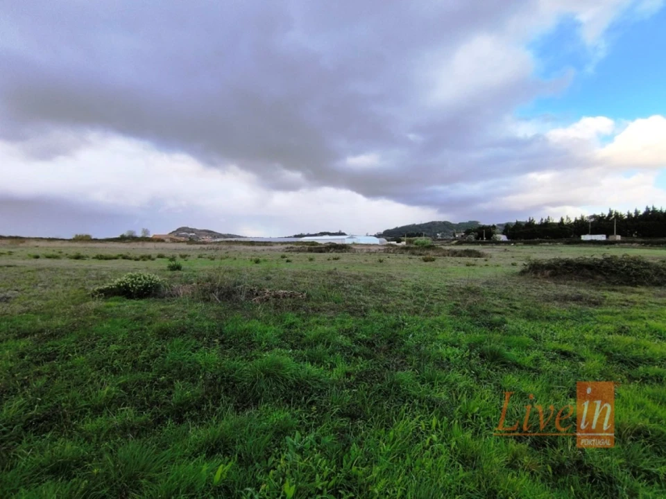Terreno Agricola ou Rústico para Venda em Lousa Foto 3