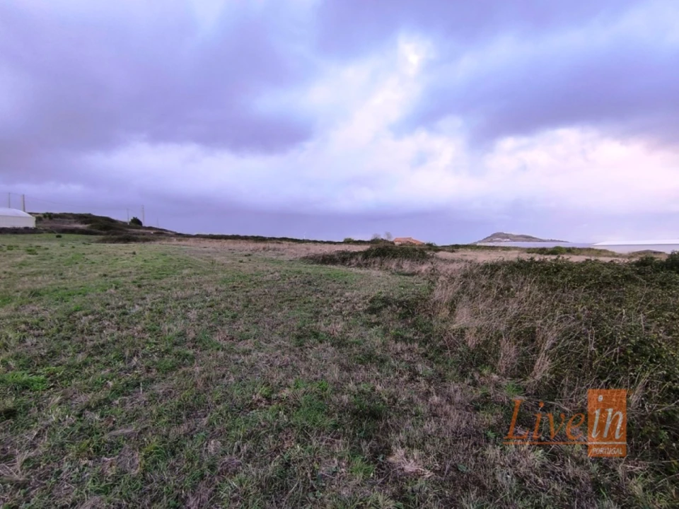 Terreno Agricola ou Rústico para Venda em Lousa Foto 7