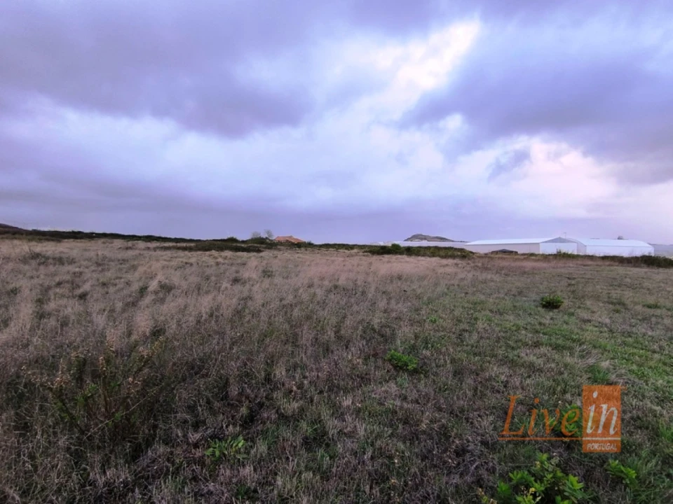 Terreno Agricola ou Rústico para Venda em Lousa Foto 9