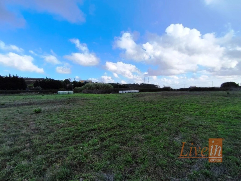 Terreno Agricola ou Rústico para Venda em Lousa Foto 12
