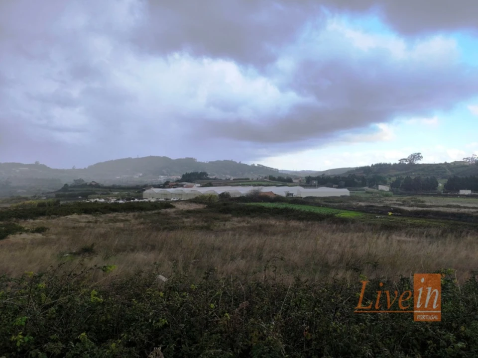 Terreno Agricola ou Rústico para Venda em Lousa Foto 13