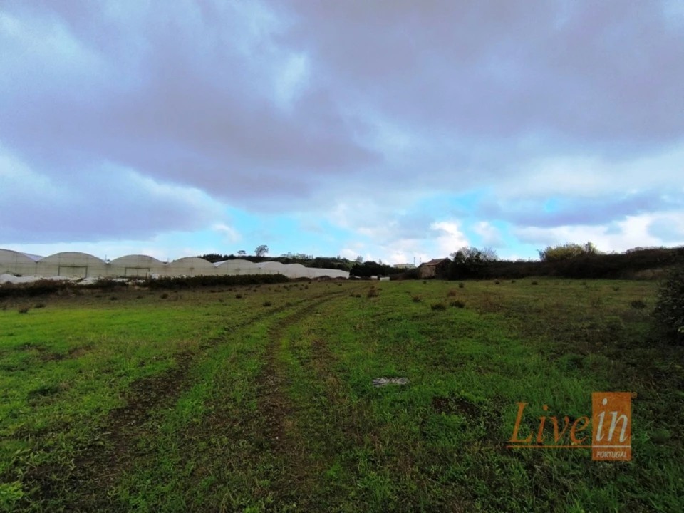 Terreno Agricola ou Rústico para Venda em Lousa Foto 15