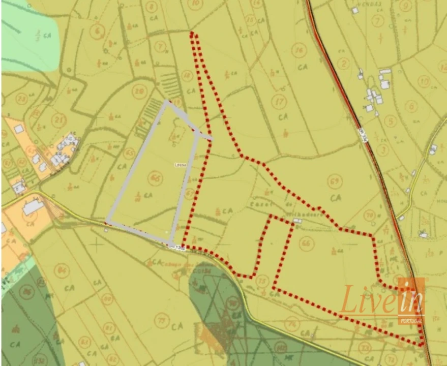 Terreno Agricola ou Rústico para Venda em Lousa Foto 16