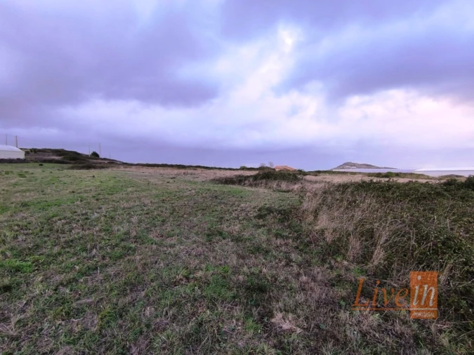 Terreno Agricola ou Rústico para Venda em Lousa Foto 7