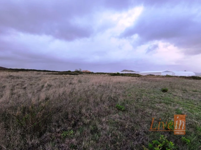 Terreno Agricola ou Rústico para Venda em Lousa Foto 9