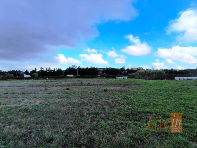 Terreno Agricola ou Rústico para Venda em Lousa Foto 11