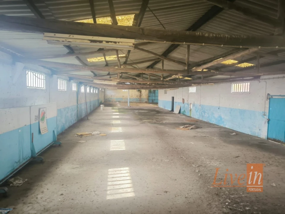 Armazém para Venda em Pataias e Martingança Foto 5