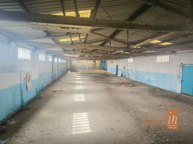 Armazém para Venda em Pataias e Martingança Foto 5