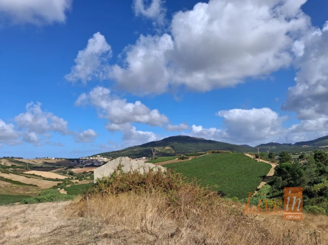 Terreno para Venda em Enxara do Bispo, Gradil e Vila Franca do Rosário Foto 3