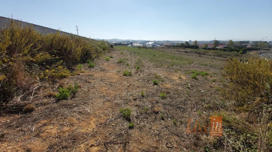 Terreno para Venda em Mafra Foto 3