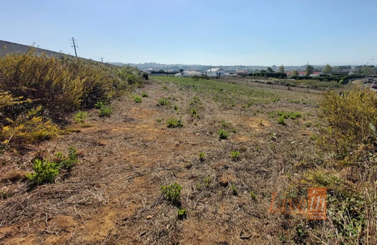 Terreno para Venda em Mafra Foto 4