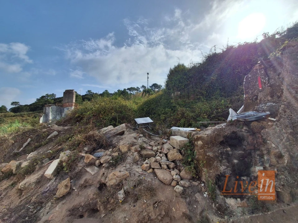 Terreno para Venda em Freiria Foto 2