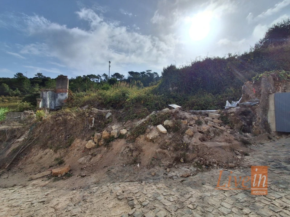 Terreno para Venda em Freiria Foto 4
