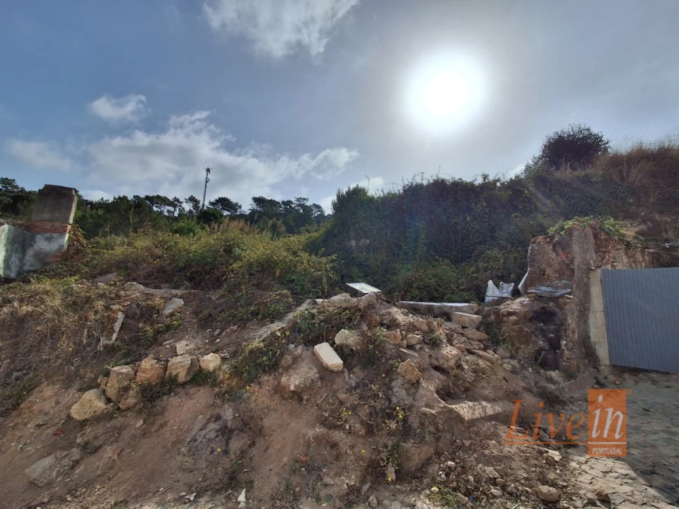 Terreno para Venda em Freiria Foto 12