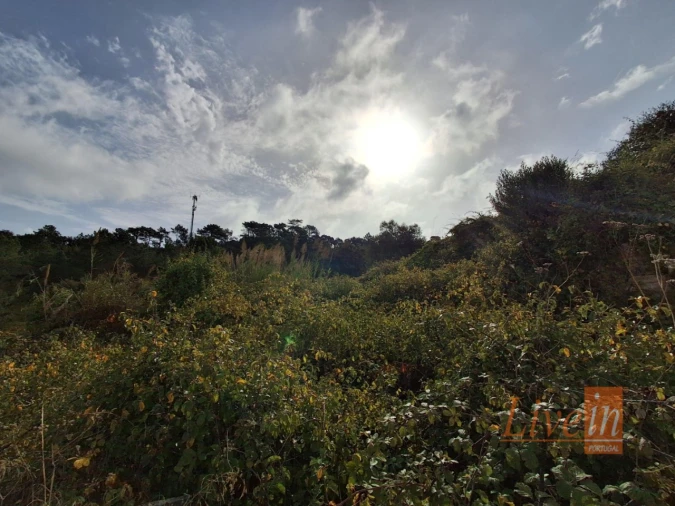 Terreno para Venda em Freiria Foto 1