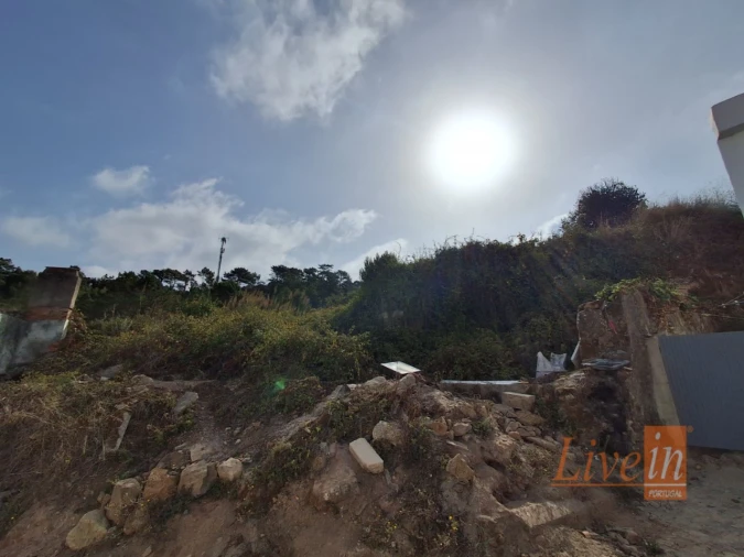 Terreno para Venda em Freiria Foto 10