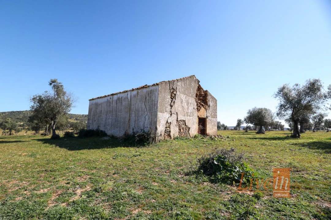 Quinta T8 para Venda em Alter do Chão Foto 8