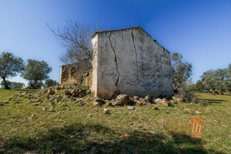Quinta T8 para Venda em Alter do Chão Foto 7