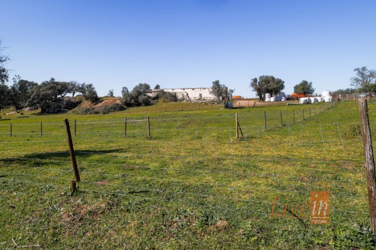 Quinta T8 para Venda em Alter do Chão Foto 13