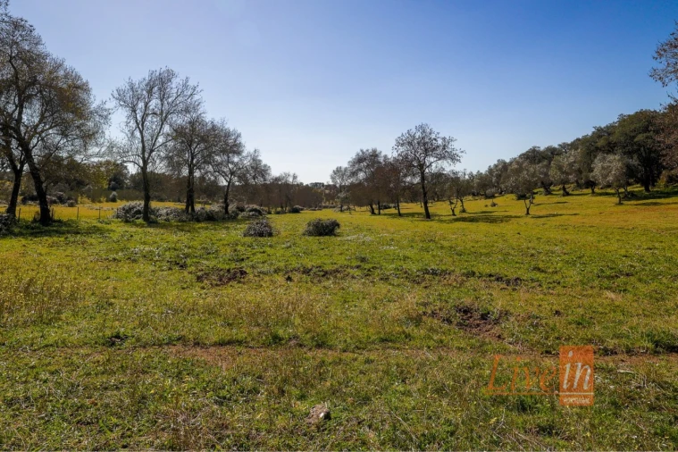 Quinta T8 para Venda em Alter do Chão Foto 14