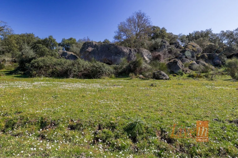 Quinta T8 para Venda em Alter do Chão Foto 17