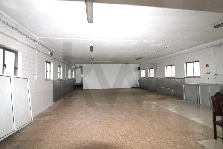 Armazém para Venda em Mafra Foto 7