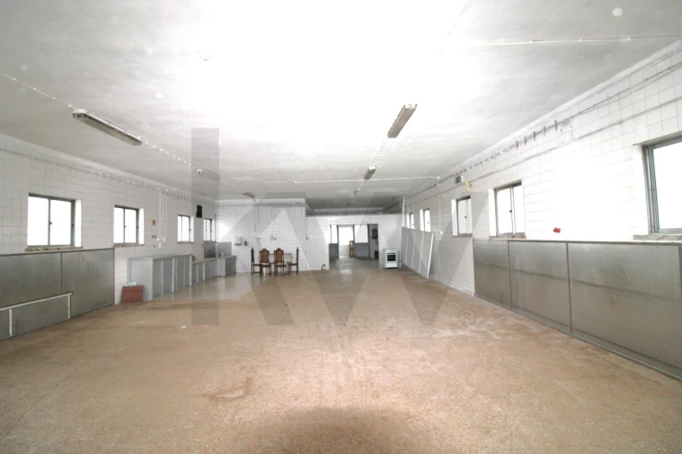 Armazém para Venda em Mafra Foto 9