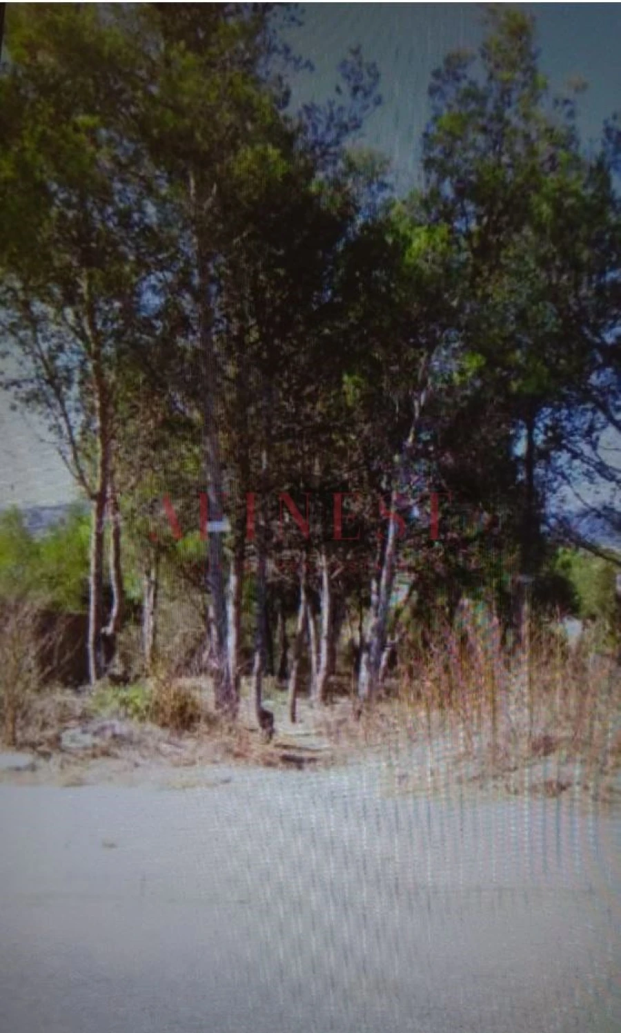 Terreno para Venda em Alcabideche Foto 4