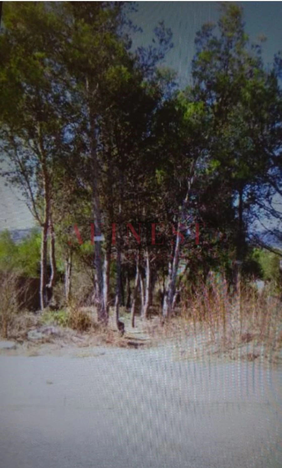 Terreno para Venda em Alcabideche Foto 4