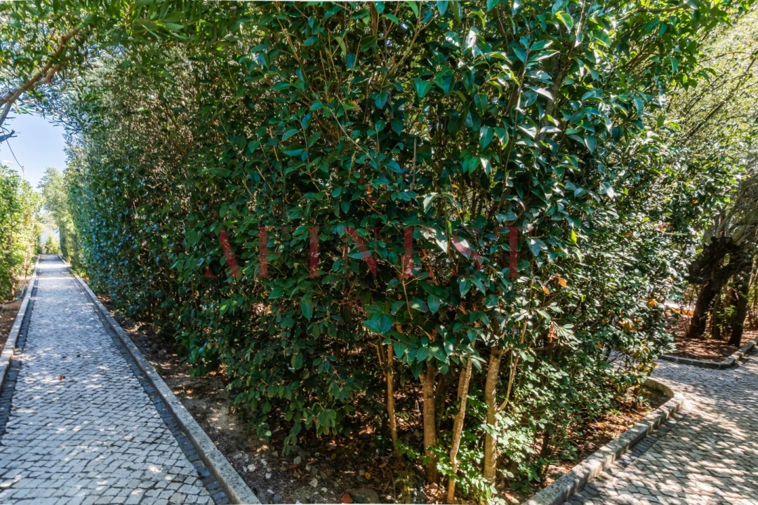 Moradia T6 para Venda em Santa Maria e São Miguel, São Martinho, São Pedro Penaferrim Foto 64