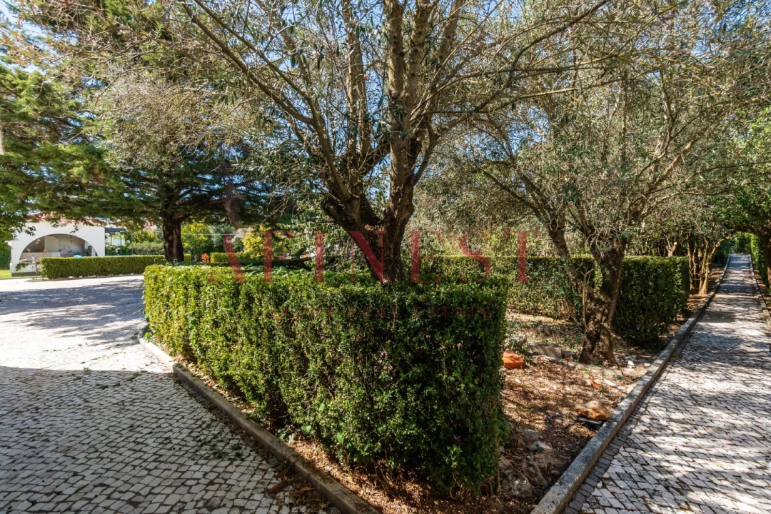 Moradia T6 para Venda em Santa Maria e São Miguel, São Martinho, São Pedro Penaferrim Foto 76