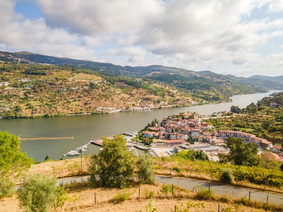 Terreno para Venda em Freigil e Miomães Foto 17