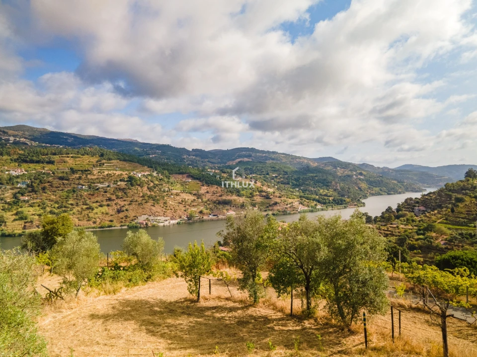 Terreno para Venda em Freigil e Miomães Foto 19