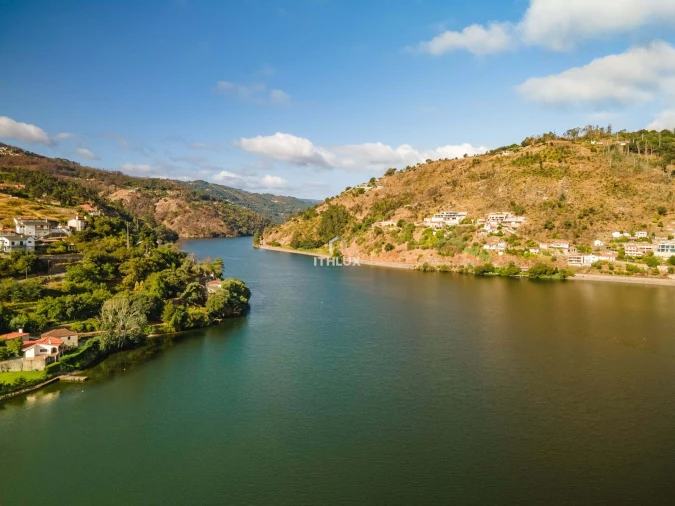 Terreno para Venda em Freigil e Miomães Foto 7