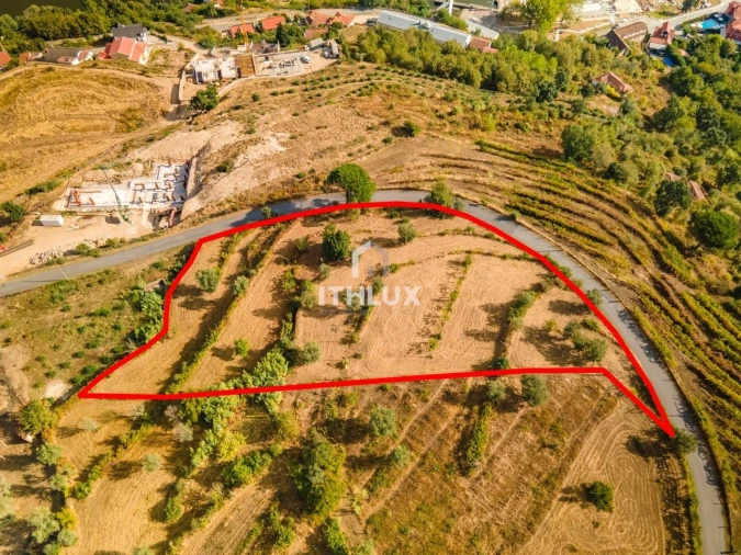 Terreno para Venda em Freigil e Miomães Foto 1