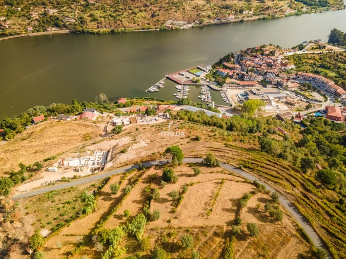 Terreno para Venda em Freigil e Miomães Foto 10