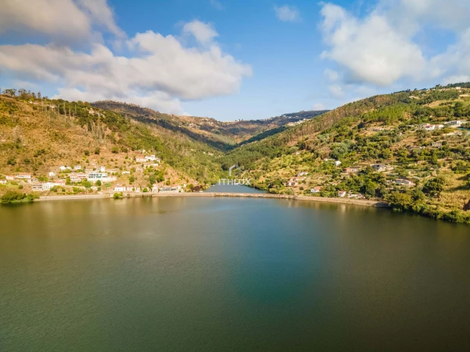Terreno para Venda em Freigil e Miomães Foto 4