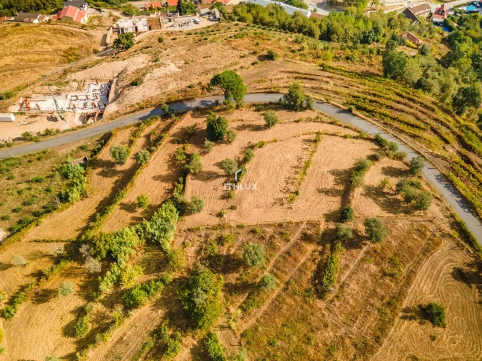 Terreno para Venda em Freigil e Miomães Foto 9